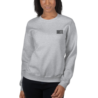 gray unisex sweater 'diabestie'